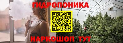 дмт Ливны