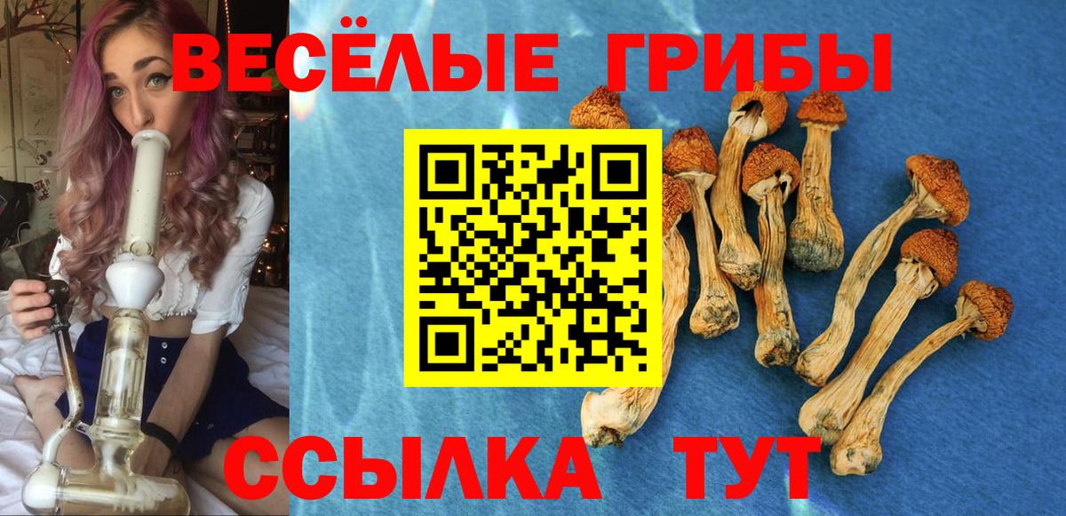 Галлюциногенные грибы мицелий  Вход с VPN  Северобайкальск 